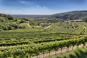 Valpolicella International