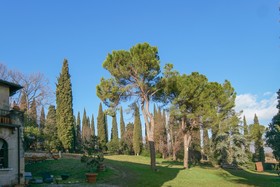 Villa Betteloni