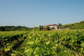 Relais La Dolce Vite