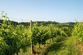 Relais La Dolce Vite