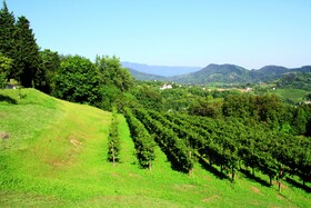 Ville D’Arfanta