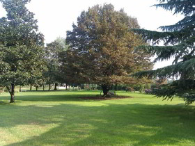 Villa Zane