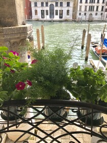 La Felice Canal Grande