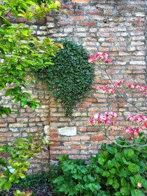 Madama Garden Retreat