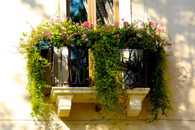 La finestra sul Ponte by Postcardsfrom