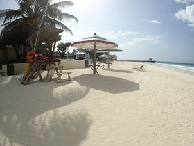 Hang Time by Jamaican Treasures