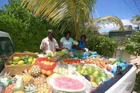 Hang Time by Jamaican Treasures