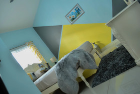Caymanas Adrian's Vacation Rental Home