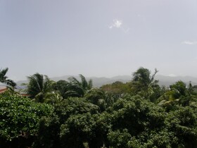 Four Seasons