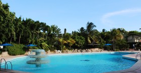 Jamaica Pegasus