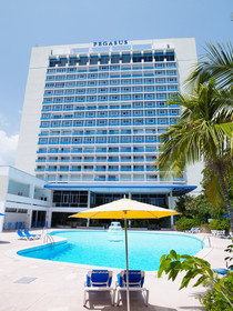 Jamaica Pegasus