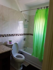 Kingston Paradise Place Rooms