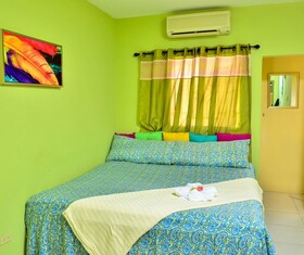 Kingston Sunset Guest Apartment