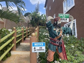 Pirate Palms