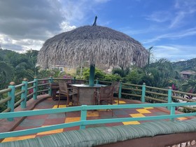 Pirate Palms