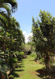 Casa da Buena Vista