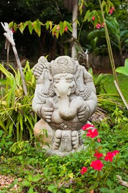 Casa da Buena Vista
