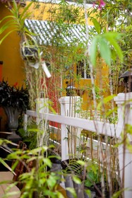 Casa da Buena Vista