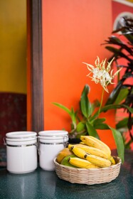 Casa da Buena Vista