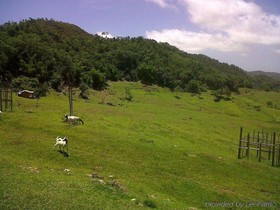 Milbrooks Resort