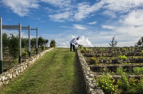 Round Hill Hotel & Villas