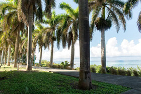 Sea Castle Vacation Villa