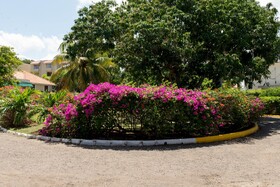 Skyclub Beach Suite At Mobay Club