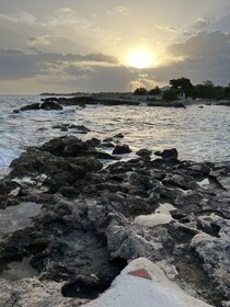Coral Cove Resort & Spa