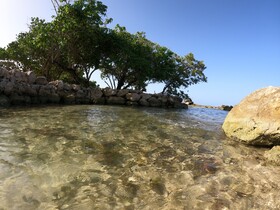 Coral Cove Resort & Spa