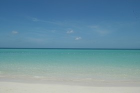 Negril Treehouse Resort