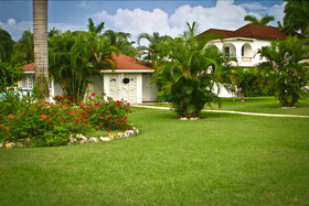 Executive Mammee Bay Hotel