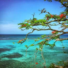 Hibiscus Lodge