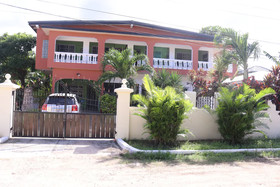 Savannah Palms