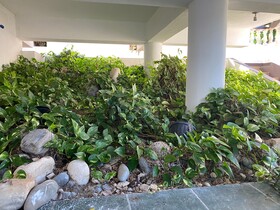Match Resort Hotel