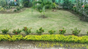 Fern Court at Richmond