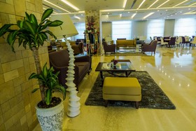 Olive Tree Hotel