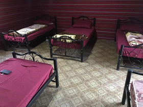 Alamer Hostel Camp
