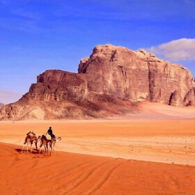 Bedouin Habits Tours Camp