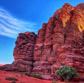 Bedouin Habits Tours Camp