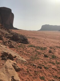 Bedouin House Camp