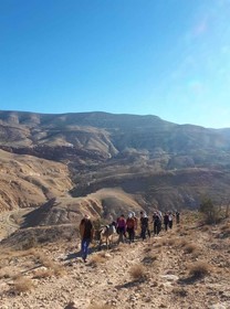 Bedouin Life Experience