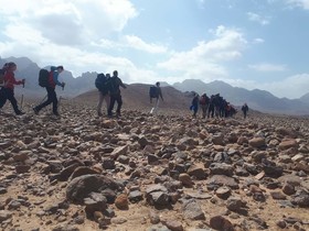 Bedouin Life Experience