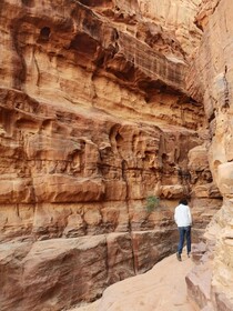 Bedouin Nights Camp