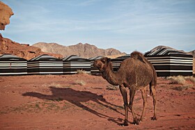 Desert Melody