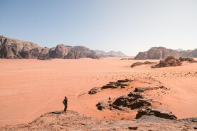 Desert Wolf Camp