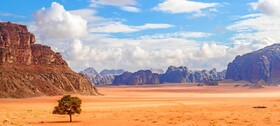 Desert Wolf Camp