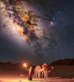 Desert Wolf Camp