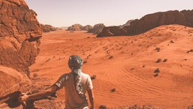 Desert Wolf Camp
