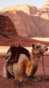 Lunar Camp - Awad Karim Wadi Rum