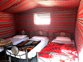 Martian Camp 2